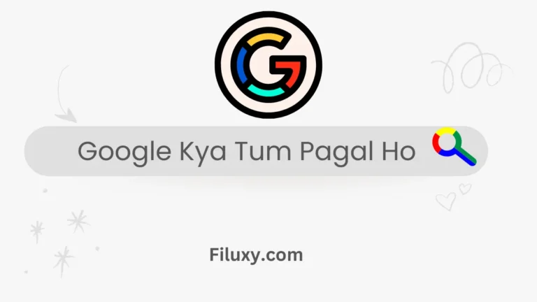 Google Kya Tum Pagal Ho